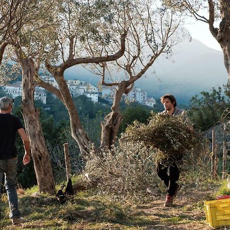 הוילה Vietri Ancient Estate "Il Trignano" מראה חיצוני תמונה