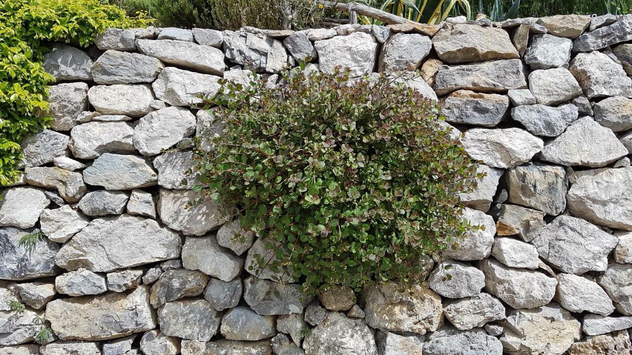 הוילה Vietri Ancient Estate "Il Trignano" מראה חיצוני תמונה