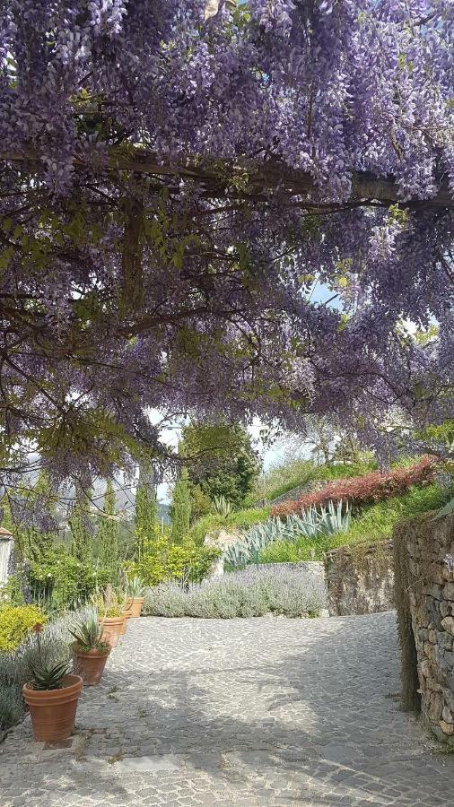 הוילה Vietri Ancient Estate "Il Trignano" מראה חיצוני תמונה