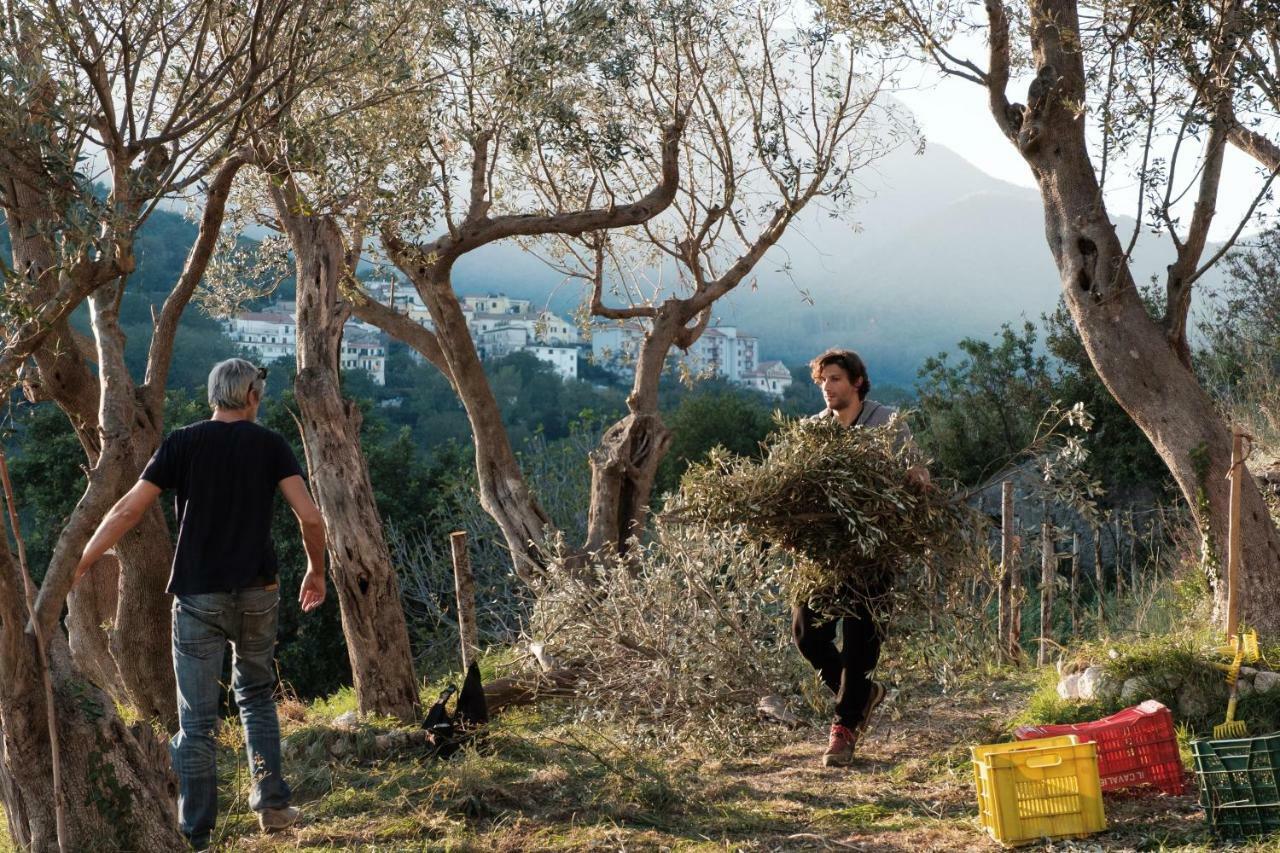 הוילה Vietri Ancient Estate "Il Trignano" מראה חיצוני תמונה