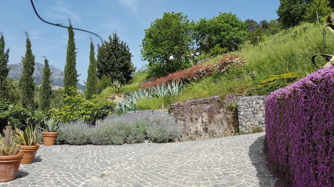 הוילה Vietri Ancient Estate "Il Trignano" מראה חיצוני תמונה